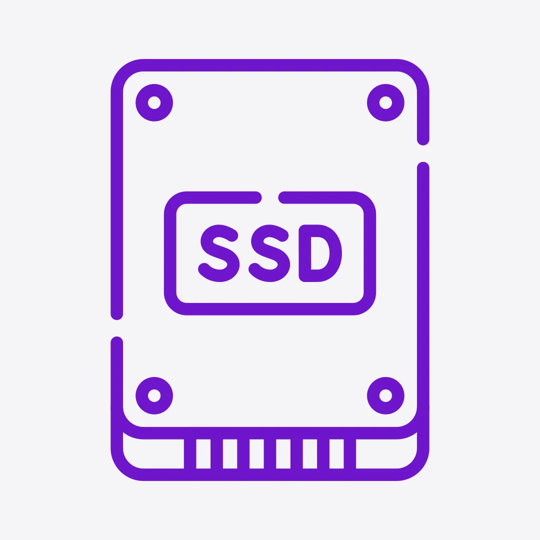 256GB SSD M.2 NVMe